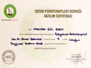Meryem Gül Eren